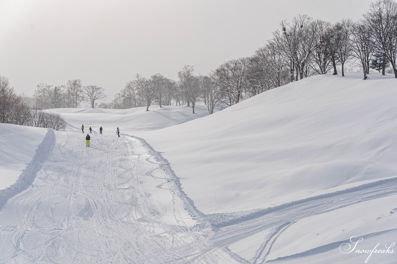 朝里川温泉スキー場　NEWイエローリフト運行開始。そして、新コースも開放間近…。今、北海道で一番“HOT”なスキー場は『ASARI』です！